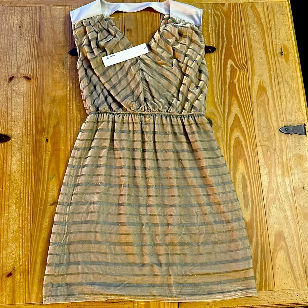 NWT Aryn K Velvet Dress